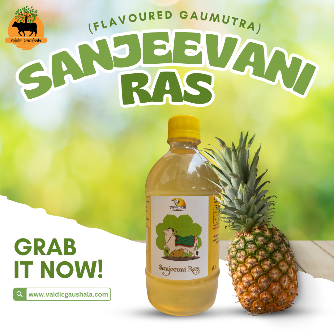 Sanjeevani Ras