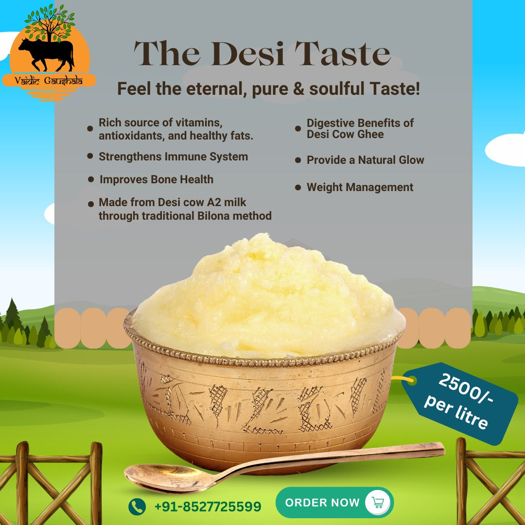 Bilona Desi Cow Ghee